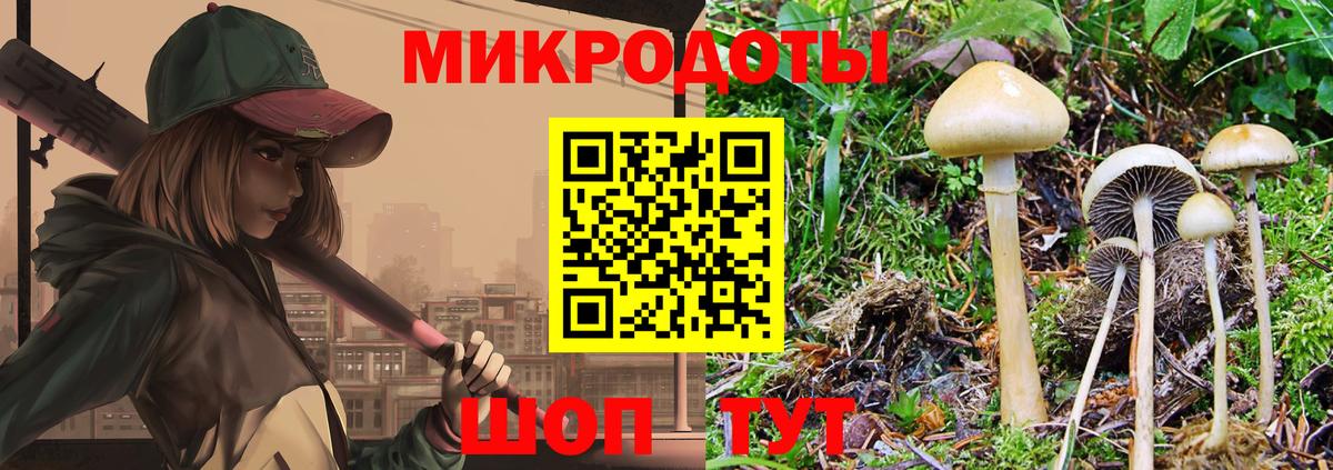 где купить   Галлюциногенные грибы Psilocybine cubensis  Волгоград  Вход с VPN  Галлюциногенные грибы Magic Shrooms 